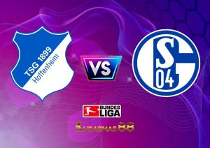 Prediksi Skor Hoffenheim vs.Schalke Liga Jerman 10 April 2023